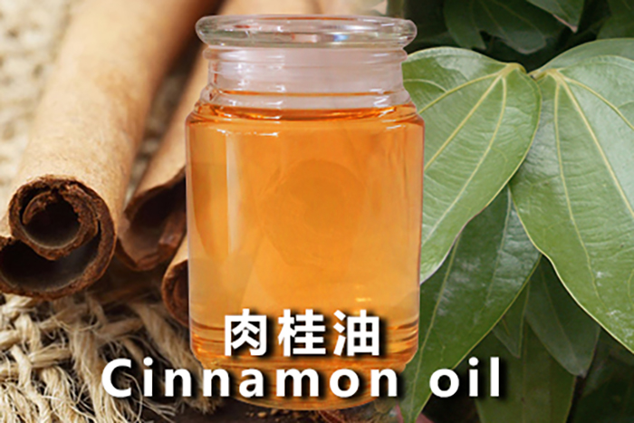 肉桂精油- Cinnamon Oil